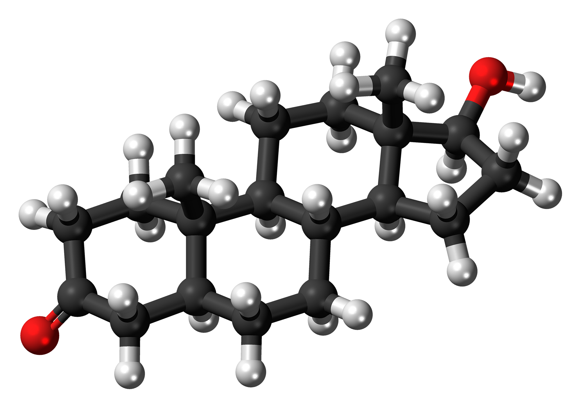 Hormonale invloed